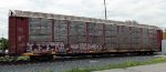 TTGX 255623